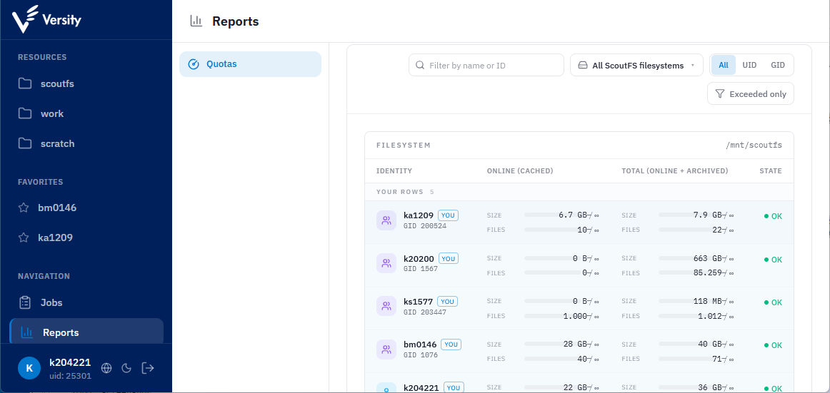 reporting quota view view